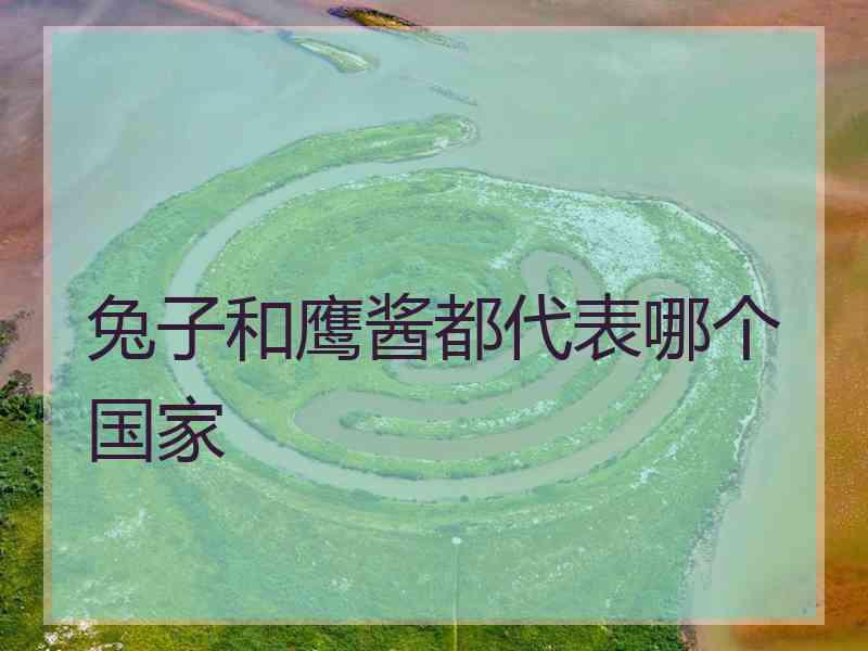 兔子和鹰酱都代表哪个国家 兔子和鹰酱都代表哪个国家