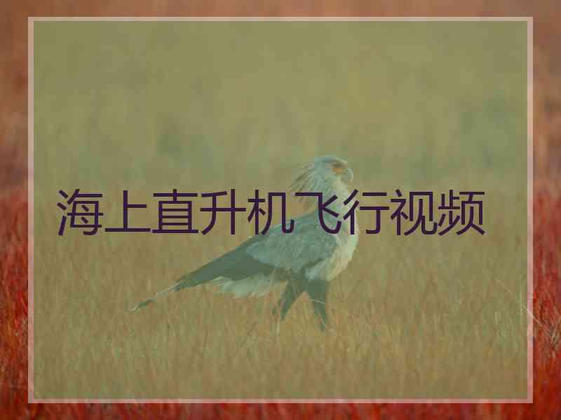 海上直升机飞行视频 海上直升机飞行视频