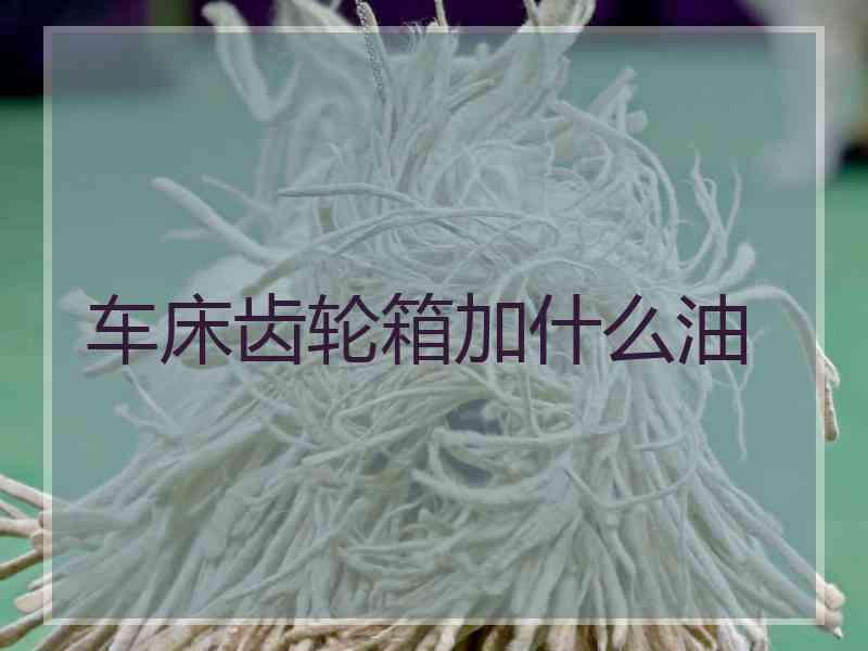 车床齿轮箱加什么油 车床齿轮箱加什么油