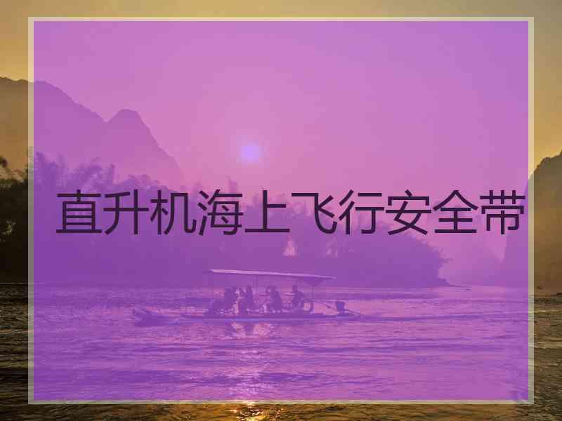 直升机海上飞行安全带 直升机海上飞行安全带