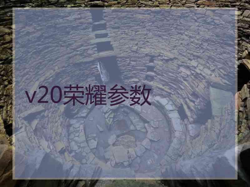 v20荣耀参数 v20荣耀参数