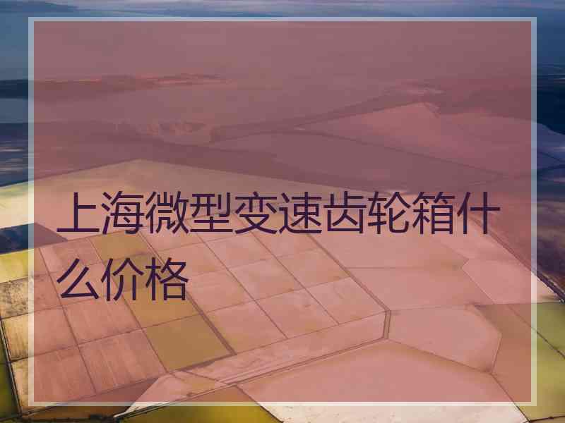 上海微型变速齿轮箱什么价格 上海微型变速齿轮箱什么价格