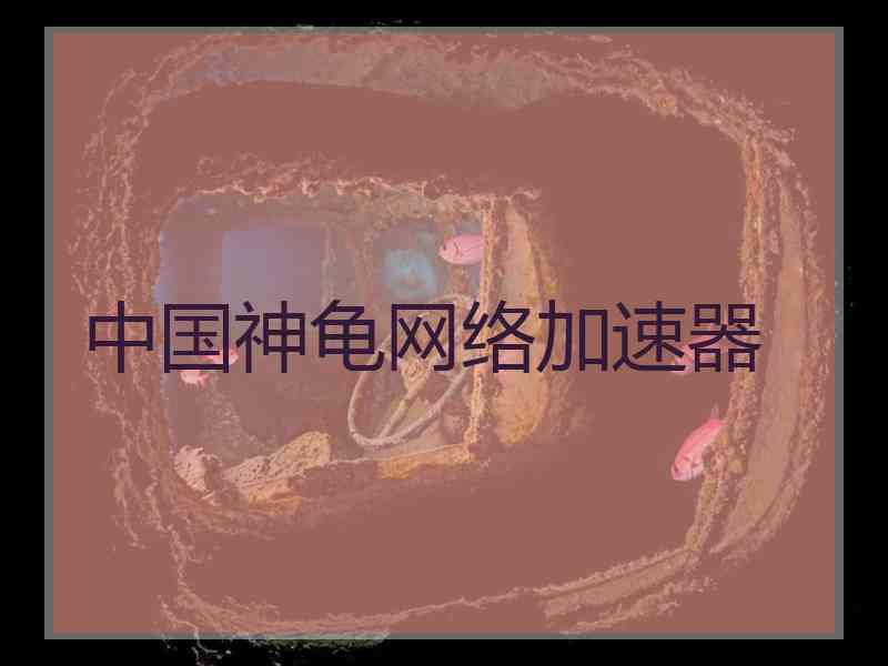 中国神龟网络加速器