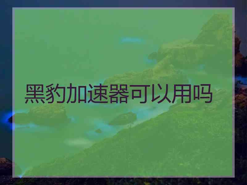 黑豹加速器可以用吗 黑豹加速器可以用吗