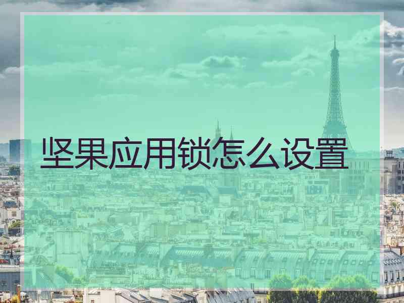 坚果应用锁怎么设置 坚果应用锁怎么设置