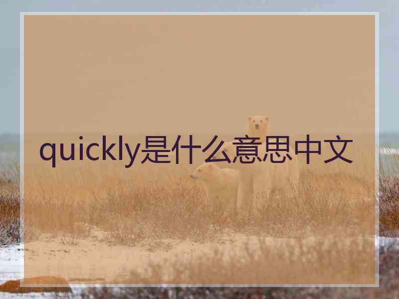 quickly是什么意思中文 quickly是什么意思中文