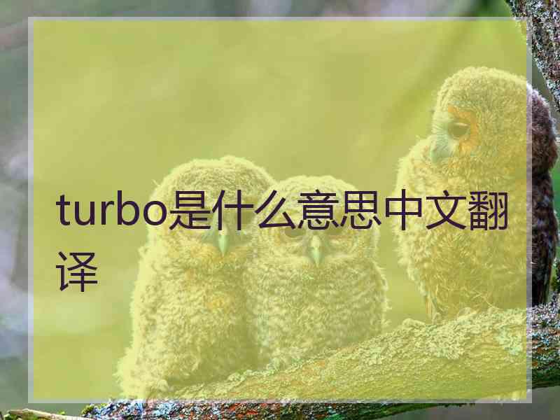 turbo是什么意思中文翻译 turbo是什么意思中文翻译