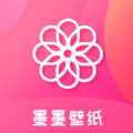 代理ip工具