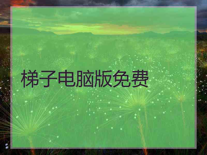 梯子电脑版免费