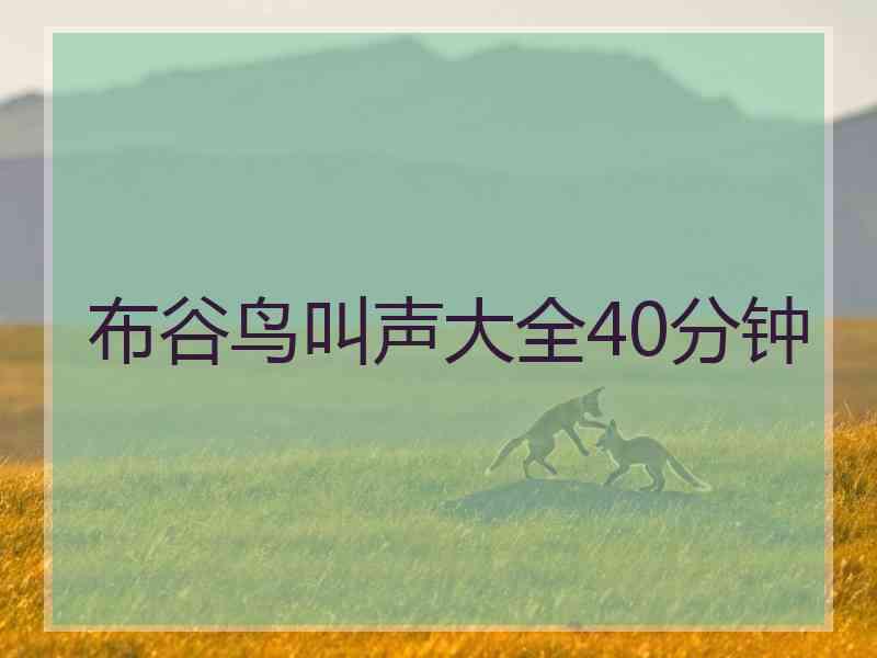 布谷鸟叫声大全40分钟