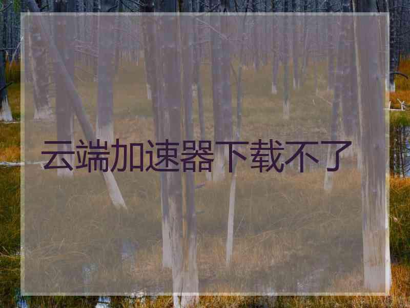 云端加速器下载不了
