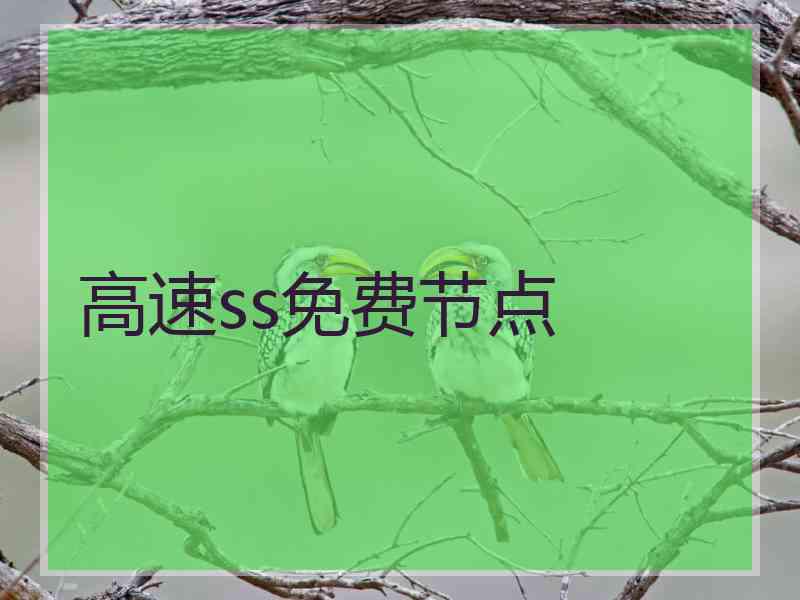 高速ss免费节点