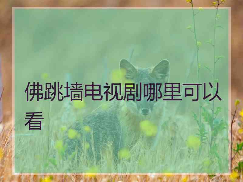佛跳墙电视剧哪里可以看