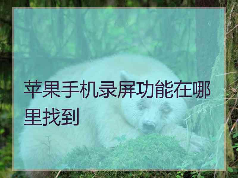 苹果手机录屏功能在哪里找到