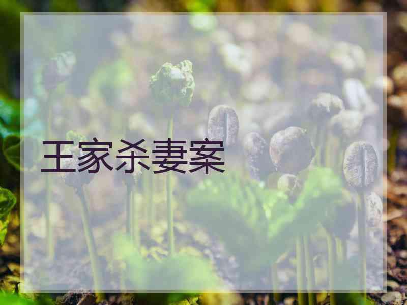 王家杀妻案