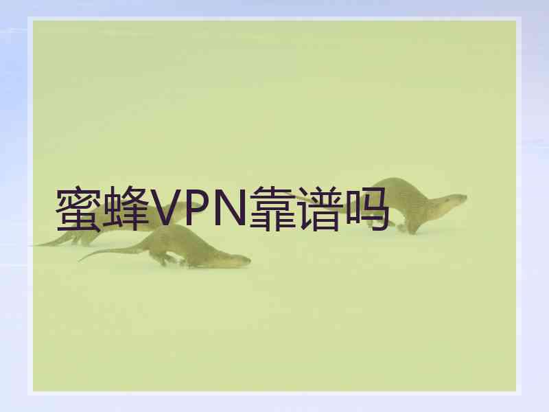 蜜蜂VPN靠谱吗