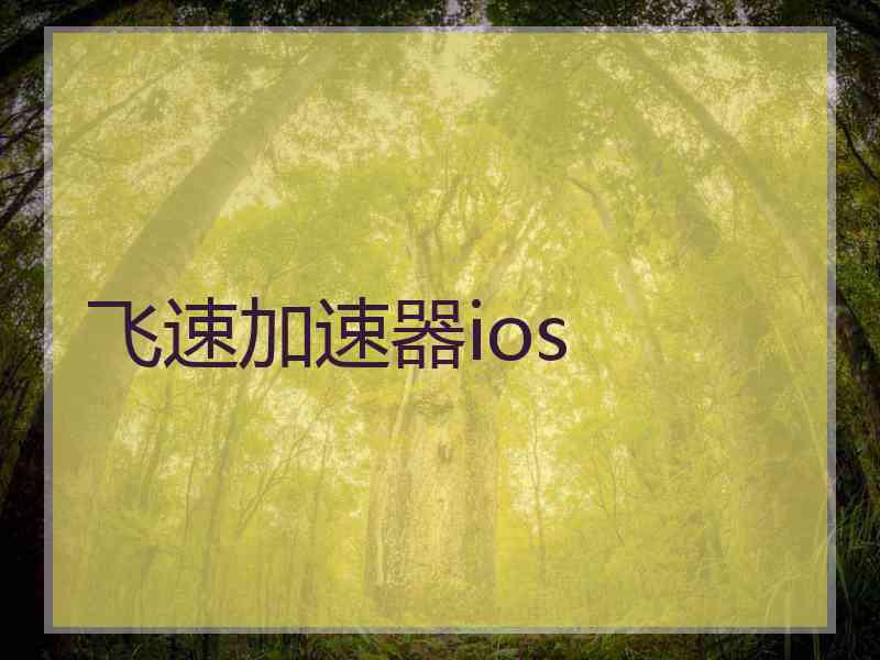 飞速加速器ios
