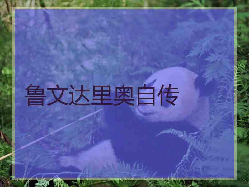鲁文达里奥自传