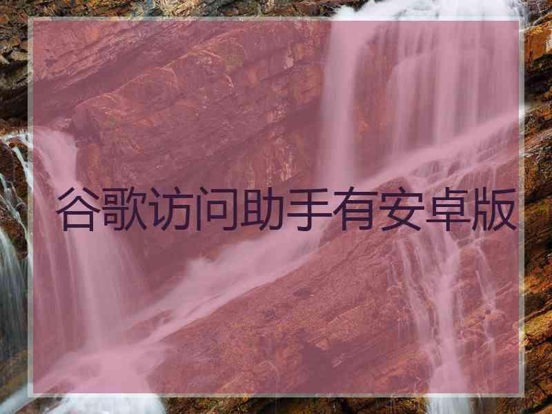 谷歌访问助手有安卓版