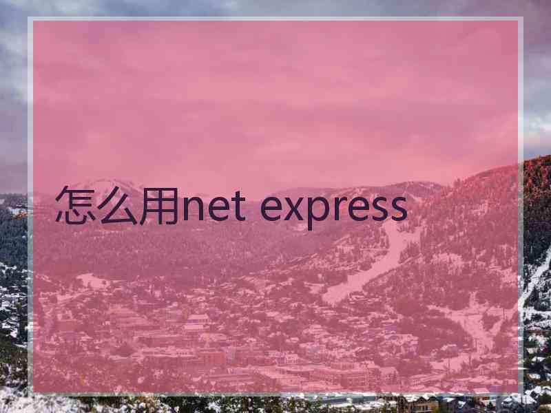 怎么用net express