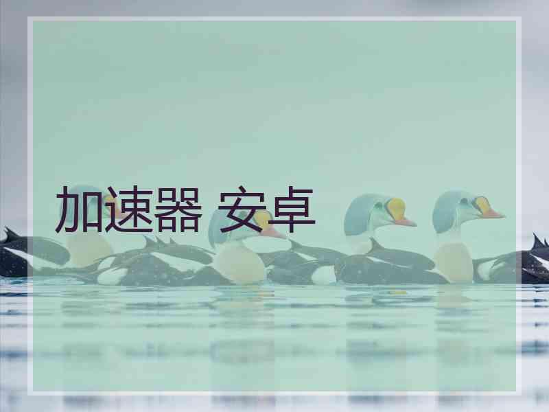 加速器 安卓