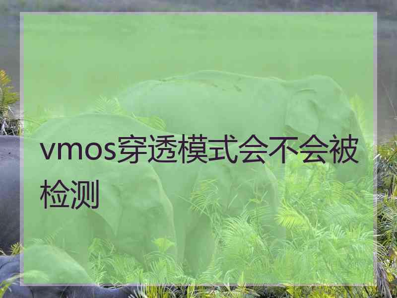 vmos穿透模式会不会被检测