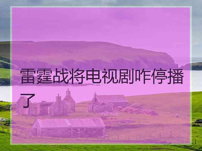 雷霆战将电视剧咋停播了