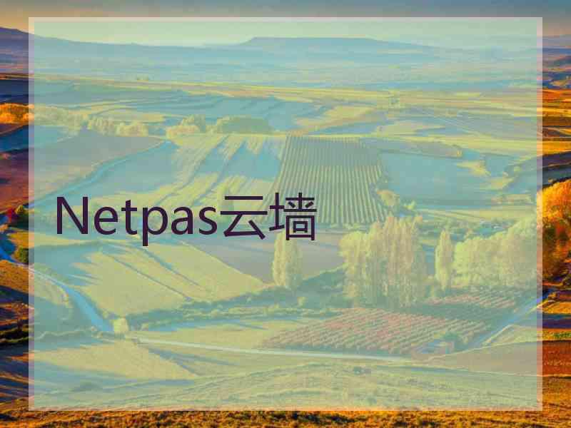 Netpas云墙