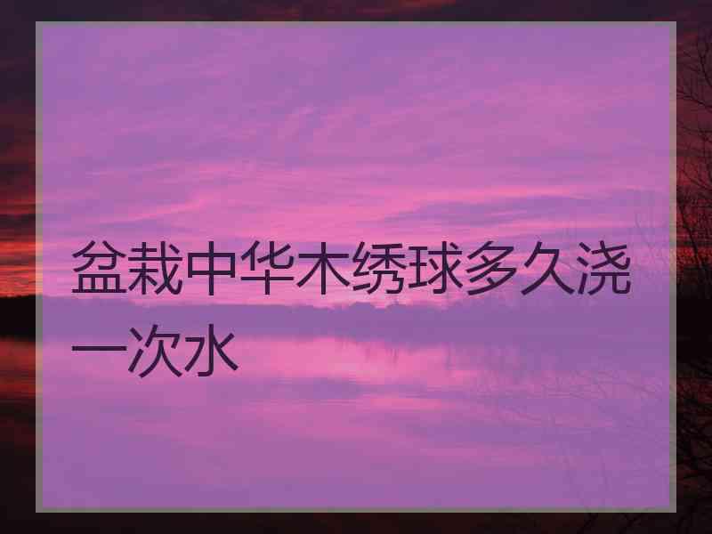 盆栽中华木绣球多久浇一次水