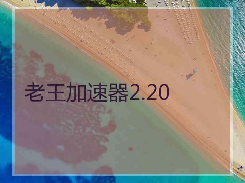 老王加速器2.20