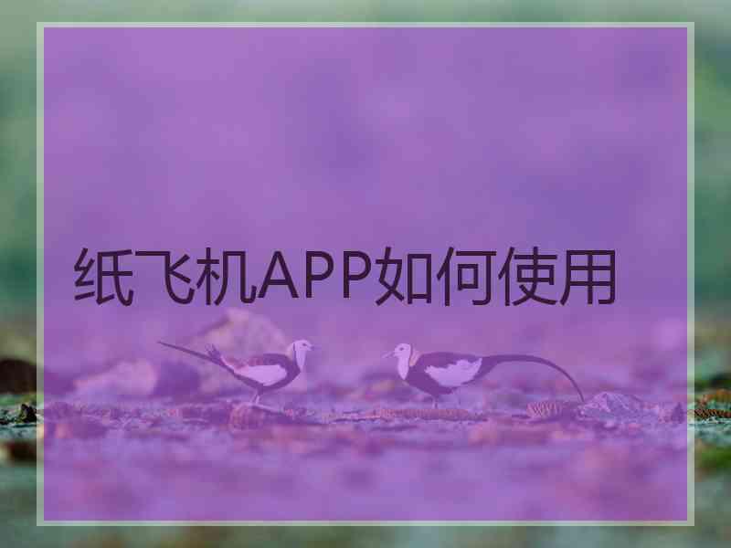 纸飞机APP如何使用