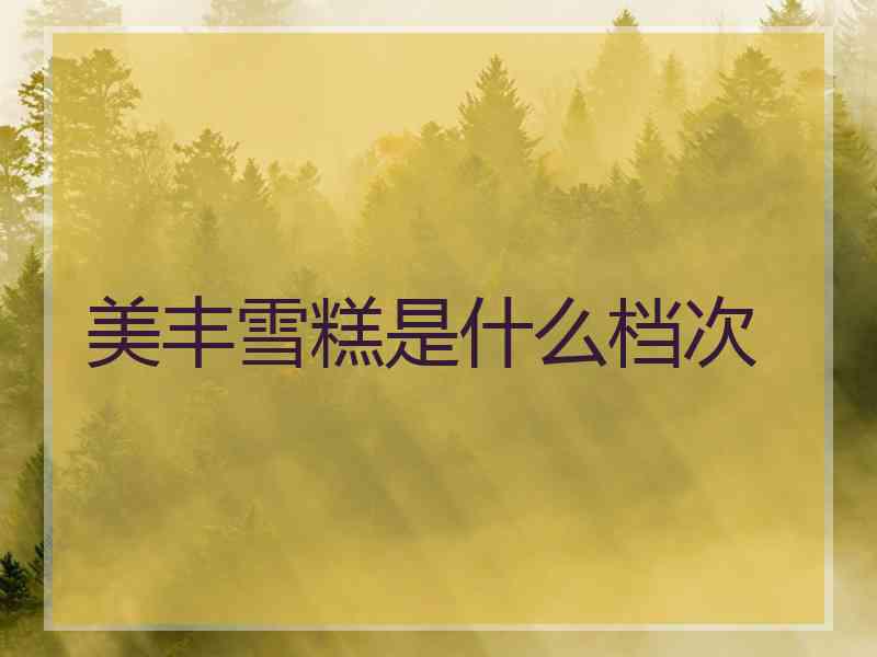 美丰雪糕是什么档次