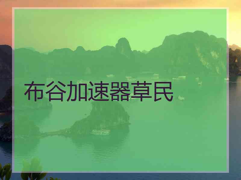 布谷加速器草民
