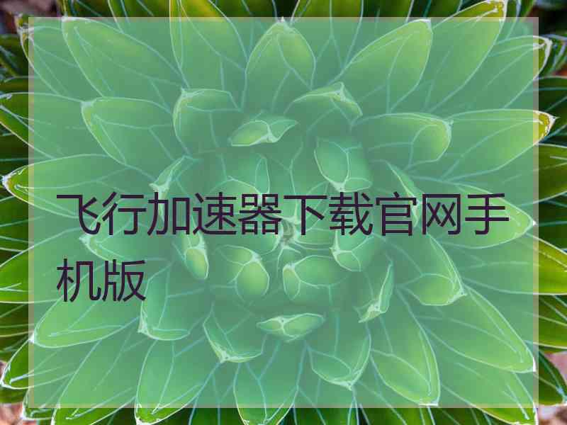 飞行加速器下载官网手机版