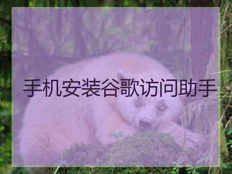 手机安装谷歌访问助手