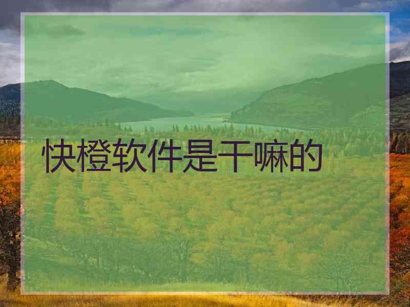 快橙软件是干嘛的