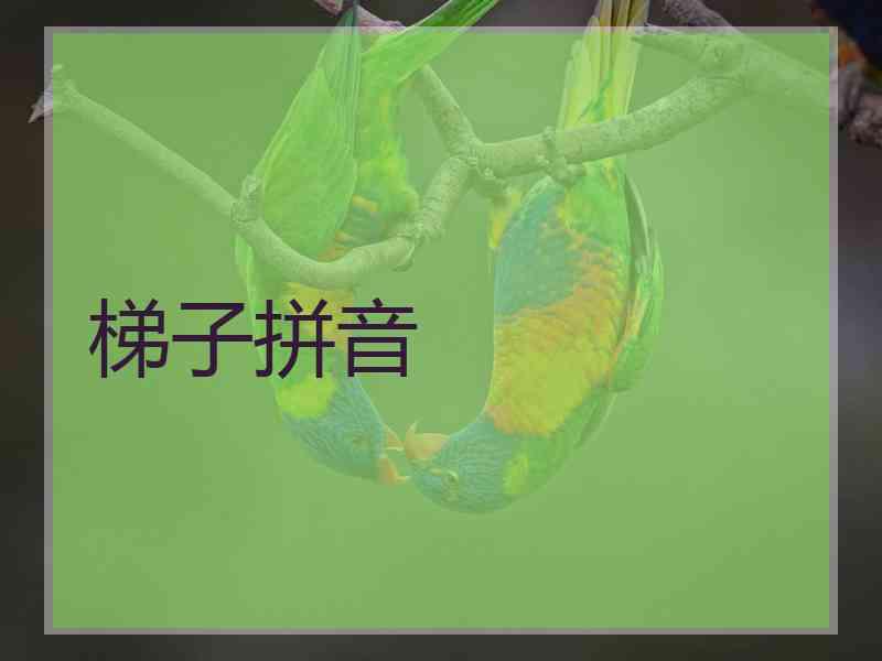 梯子拼音