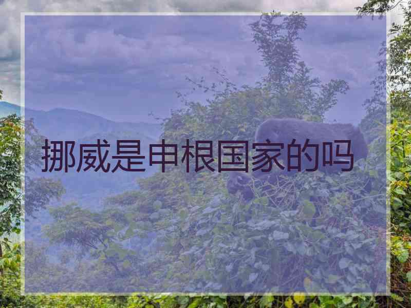挪威是申根国家的吗
