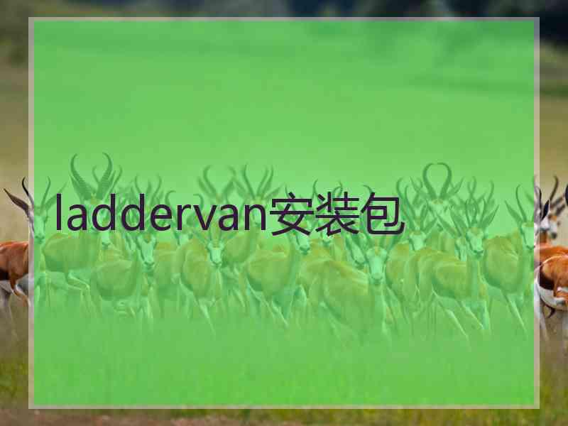 laddervan安装包