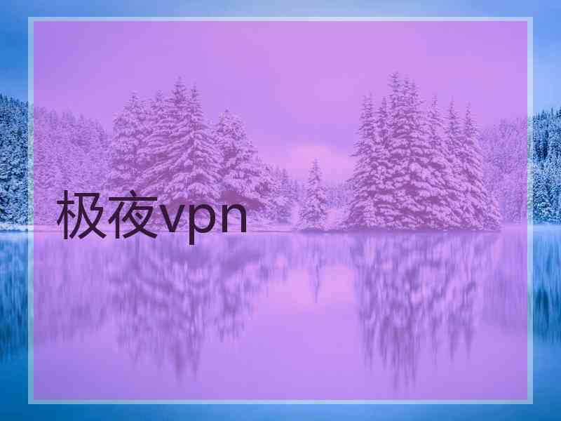 极夜vpn