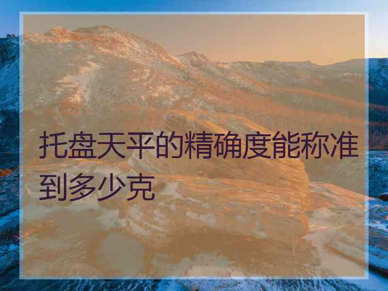 托盘天平的精确度能称准到多少克