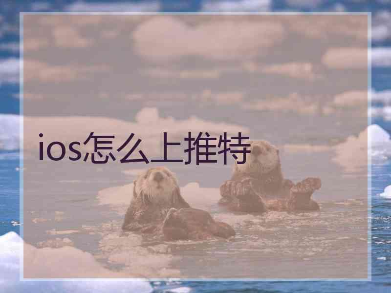 ios怎么上推特