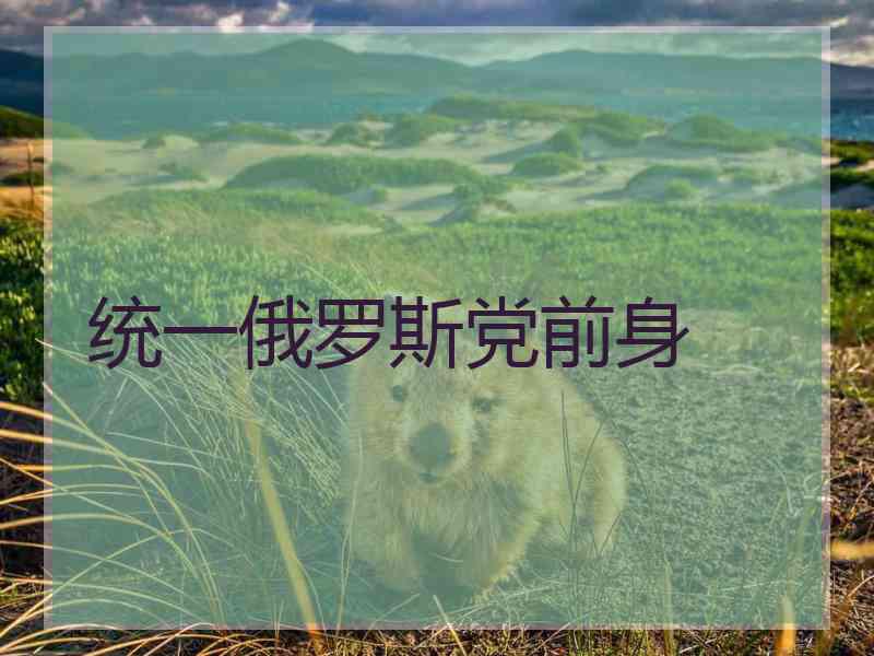 统一俄罗斯党前身