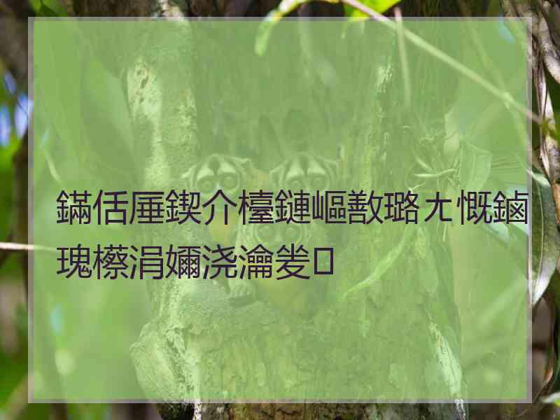鏋佸厜鍥介檯鏈嶇敾璐ㄤ慨鏀瑰櫒涓嬭浇瀹夎