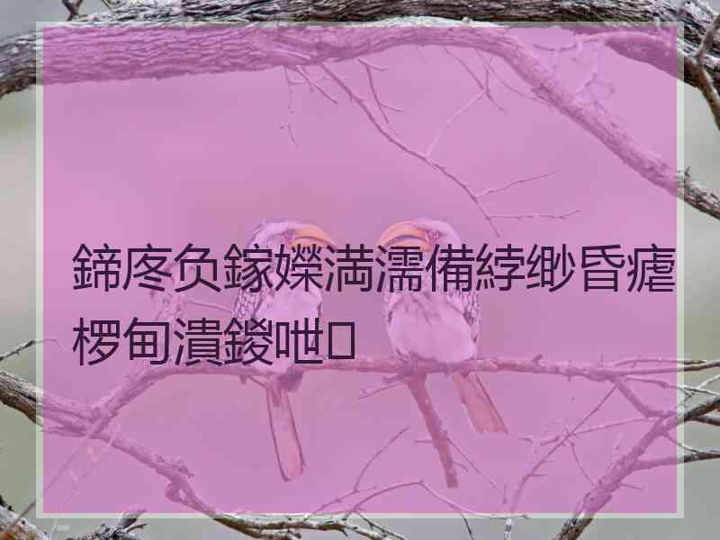 鍗庝负鎵嬫満濡備綍缈昏瘧椤甸潰鍐呭