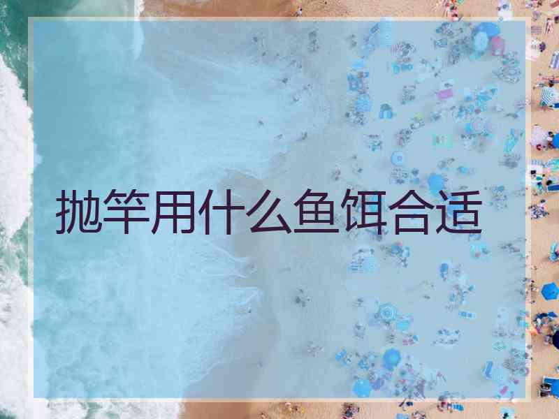 抛竿用什么鱼饵合适