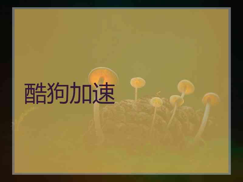 酷狗加速