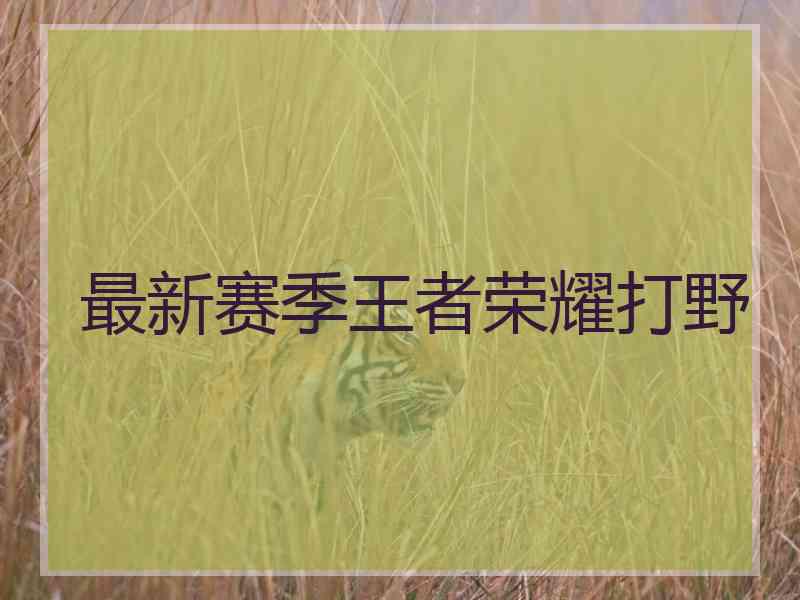 最新赛季王者荣耀打野
