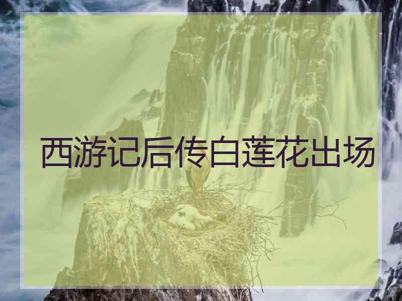 西游记后传白莲花出场