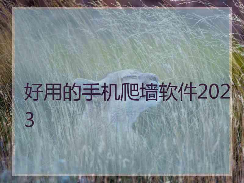 好用的手机爬墙软件2023